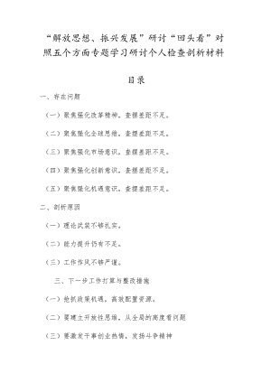 “解放思想、振兴发展”研讨“回头看”对照五个方面专题学习研讨个人检查剖析材料.docx
