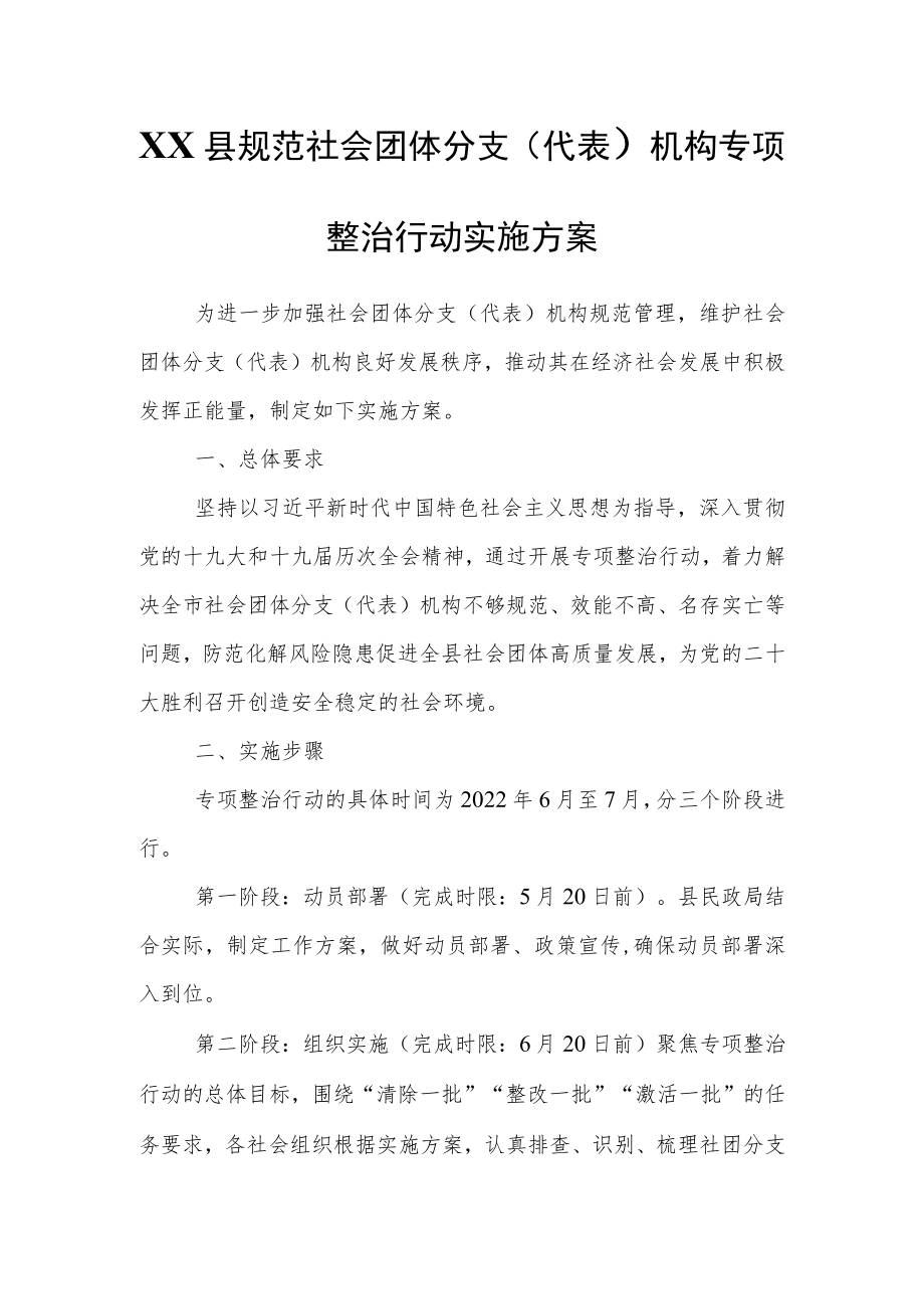 XX县规范社会团体分支（代表）机构专项整治行动实施方案.docx_第1页