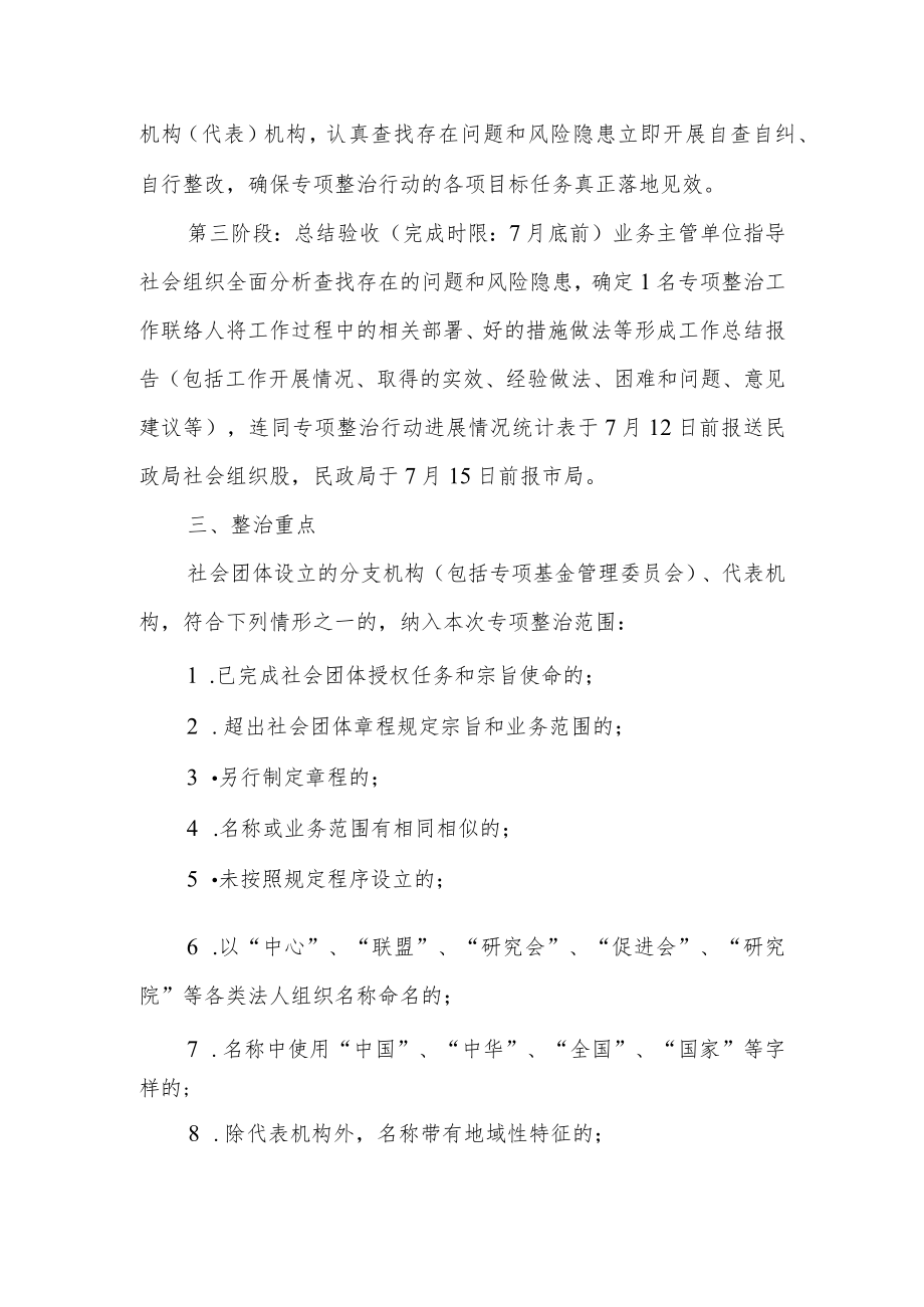 XX县规范社会团体分支（代表）机构专项整治行动实施方案.docx_第2页