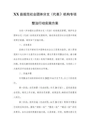 XX县规范社会团体分支（代表）机构专项整治行动实施方案.docx