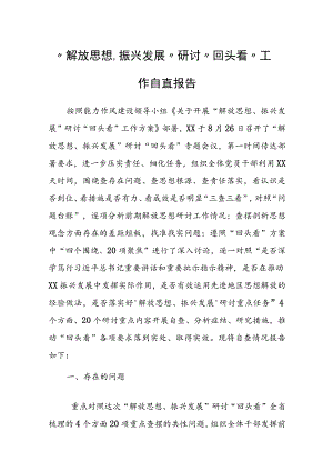 “解放思想、振兴发展”研讨“回头看”工作自查报告.docx