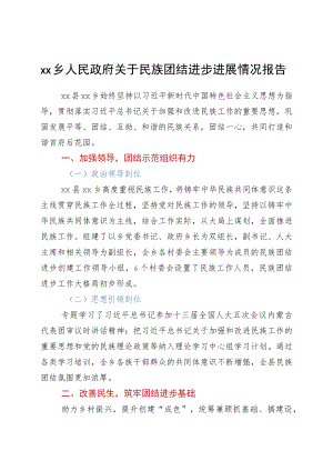 xxx乡人民政府关于民族团结进步进展情况报告.docx