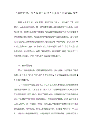 “解放思想、振兴发展”研讨“回头看”自查情况报告（附研讨发言）.docx