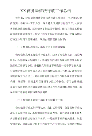 XX商务局依法行政工作总结范文.docx