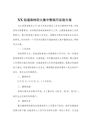 XX街道森林防火集中整顿月实施方案.docx