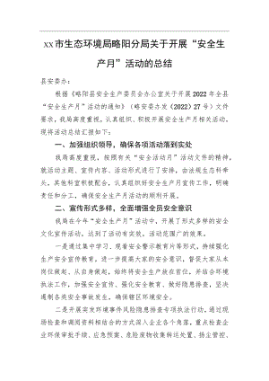 xx市生态环境局略阳分局关于开展“安全生产月”活动的总结.docx
