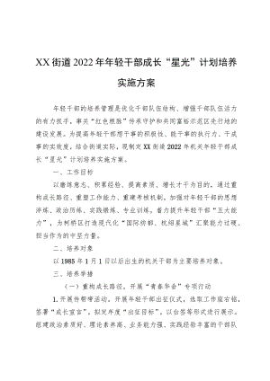 XX街道2022轻干部成长“星光”计划培养实施方案.docx