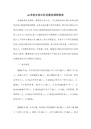xx市县乡统计队伍建设调研报告.docx