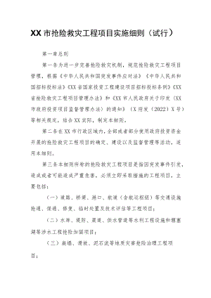 XX市抢险救灾工程项目实施细则.docx
