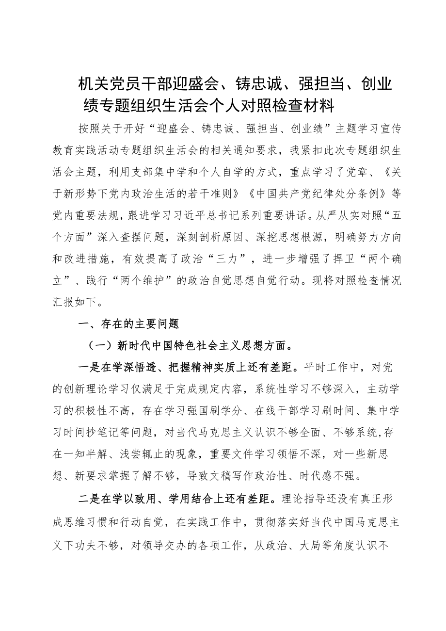 “迎盛会、铸忠诚、强担当、创业绩”主题学习宣传教育实践活动发言材料（仅供参考）.docx_第1页
