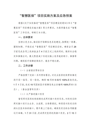 “智慧医保”项目实施方案及应急预案.docx