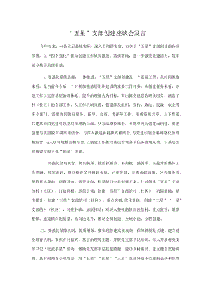 “五星”支部创建座谈会发言.docx