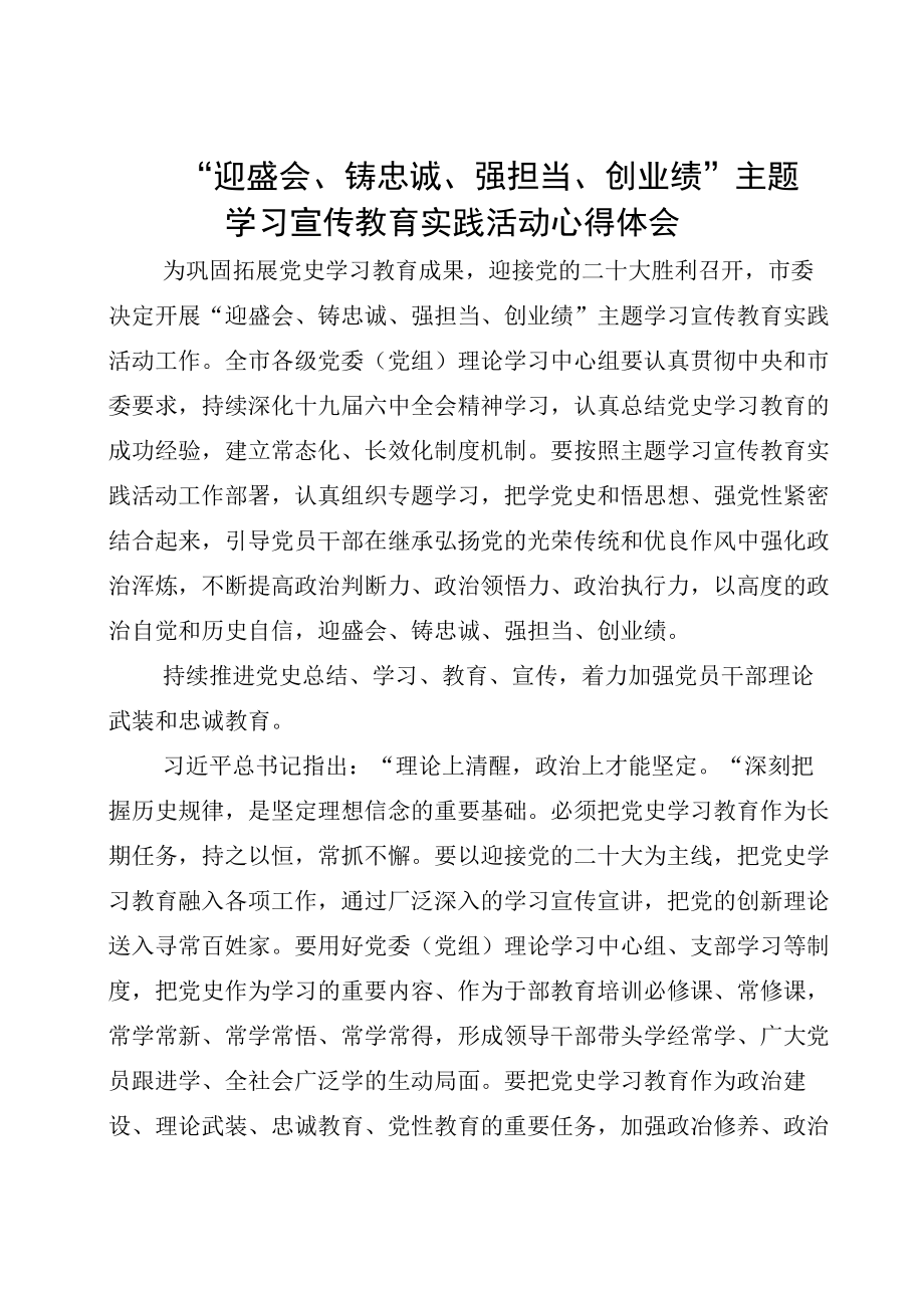 “迎盛会、铸忠诚、强担当、创业绩”主题学习宣传教育实践活动心得体会不会改的版本.docx_第1页