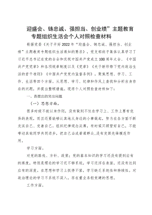 “迎盛会、铸忠诚、强担当、创业绩”主题学习宣传教育实践活动心得体会通用版.docx