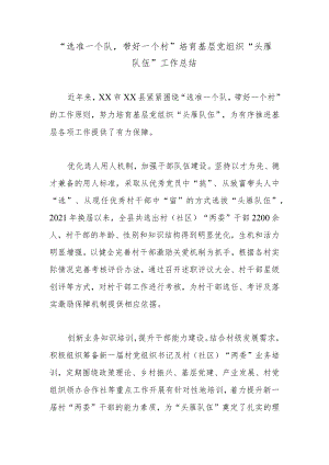 “选准一个队带好一个村”培育基层党组织“头雁队伍”工作总结.docx