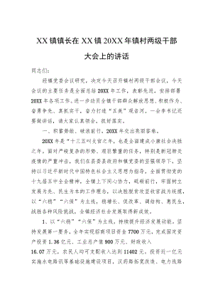 XX镇镇长在XX镇20XX镇村两级干部大会上的讲话.docx