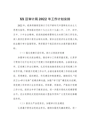 XX区审计局2022工作计划安排.docx