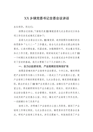 XX乡镇党委书记全委会议讲话.docx