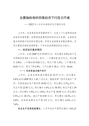 主要指标有所回落经济下行压力不减——2022上半全县经济运行情况分析.docx