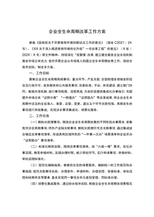 企业全生命周期改革工作方案.docx