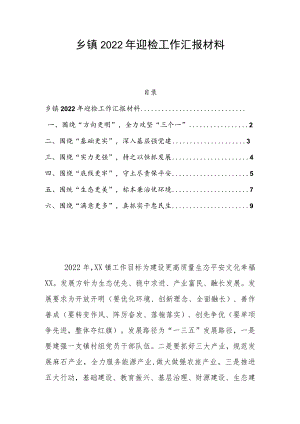 乡镇2022迎检工作汇报材料.docx