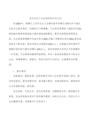 优化化纤工业区域布局行动计划.docx