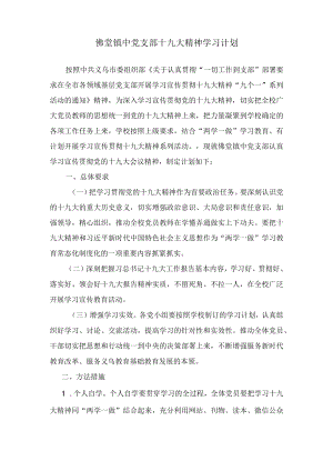 佛堂镇中党支部十九大精神学习计划.docx