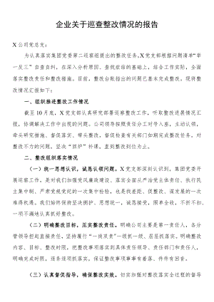企业关于巡查整改情况的报告.docx