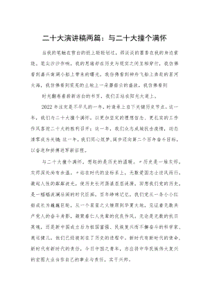 二十大演讲稿两篇：与二十大撞个满怀.docx