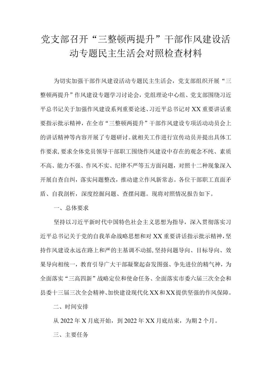 党支部召开“三整顿两提升”干部作风建设活动专题民主生活会对照检查材料.docx_第1页