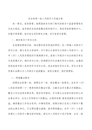 依法取缔一批入河排污口实施方案.docx