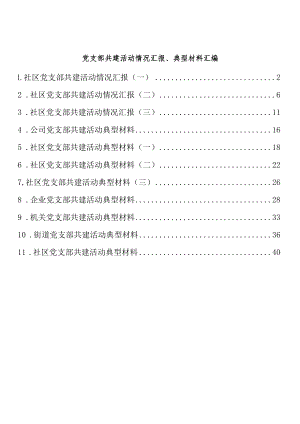 党支部共建活动情况汇报、典型材料汇编（11篇 ）.docx