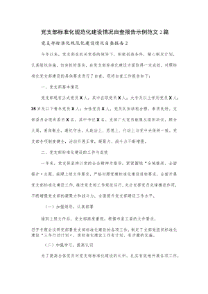 党支部标准化规范化建设情况自查报告示例范文2篇.docx