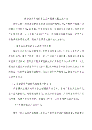健全协同有效的自主品牌提升机制实施方案.docx