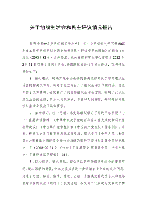 关于组织生活会和民主评议情况报告.docx