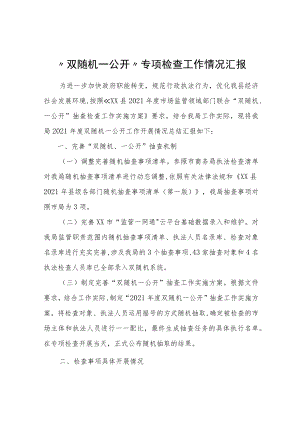 关于开展“双随机一公开”专项检查工作情况汇报.docx