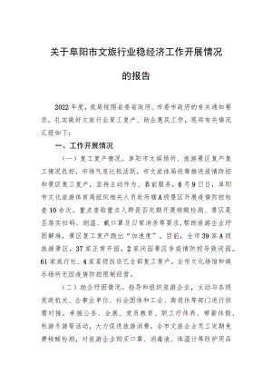 关于阜阳市文旅行业稳经济工作开展情况的报告.docx