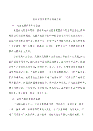 创新新型消费平台实施方案.docx
