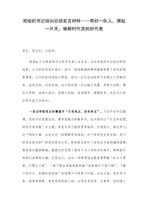 党组织书记培训总结发言材料——带好一队人撑起一片天做新时代党的好代表.docx