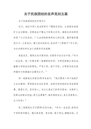关于民族团结的发声亮剑五篇.docx