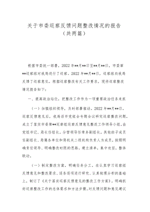 关于市委巡察反馈问题整改情况的报告（共两篇）.docx