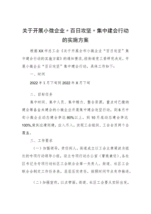 关于开展小微企业“百日攻坚”集中建会行动的实施方案.docx