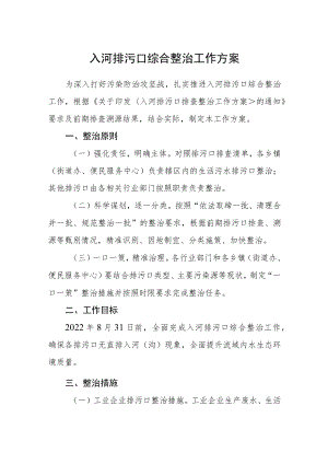 入河排污口综合整治工作方案.docx