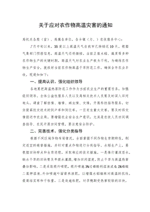 关于应对农作物高温灾害的通知.docx