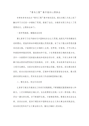 【精品文档】“青马工程”集中培训心得体会.docx