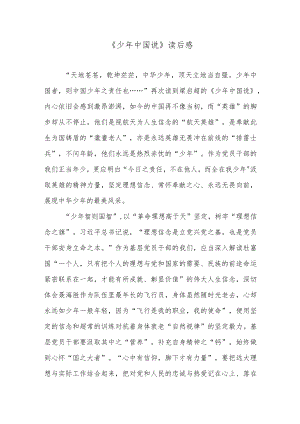 《少中国说》读后感.docx