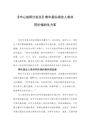【中心组研讨发言】青是弘扬全人类共同价值的生力军.docx