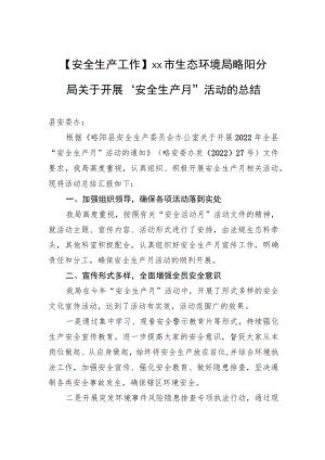 【安全生产工作】xx市生态环境局略阳分局关于开展“安全生产月”活动的总结.docx