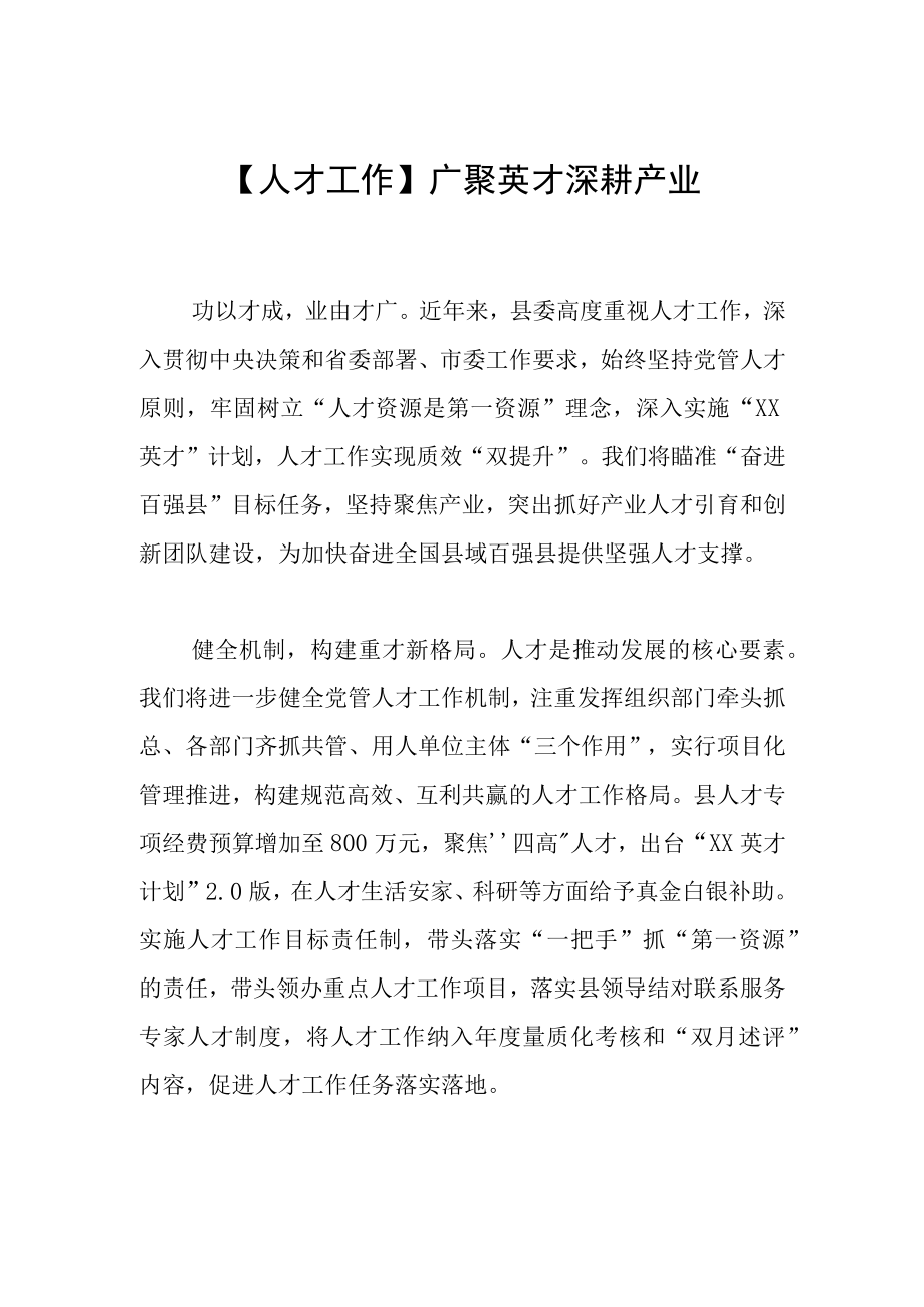 【人才工作】广聚英才 深耕产业.docx_第1页