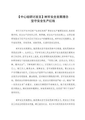 【中心组研讨发言】树牢安全发展理念 坚守安全生产红线.docx